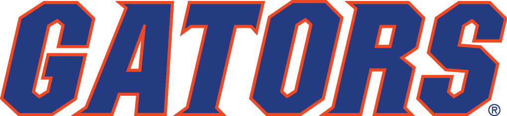 Florida Gators 2011-Pres Wordmark Logo v3 diy iron on heat transfer